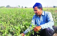 उत्तराखंड में जैविक खेती को बढ़ावा देने के लिए केचुओं पर शोध परियोजना को मंजूरी