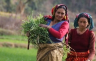 उत्तराखंड: किसानों का कर्ज माफ नहीं करेगी सरकार