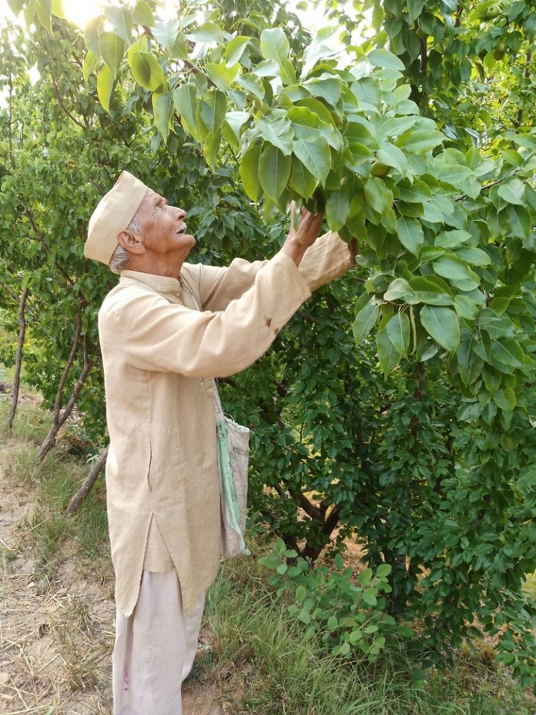 Horticulture Model of Uttarakhand
