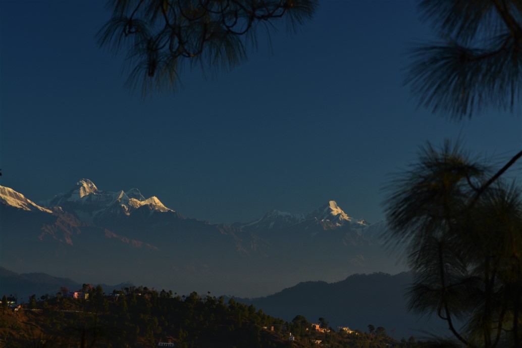 माट गाँव, कसारदेवी की चारु मेहरा और उसका हिमालयन हिप्पीज कैफे - Kafal Tree