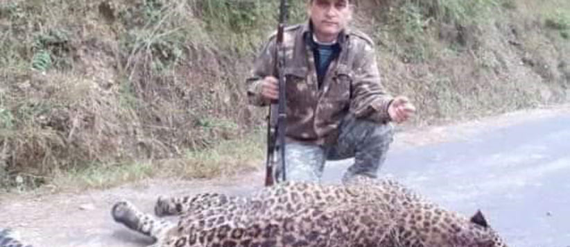 शिकारी जॉय हुकिल द्वारा गढ़वाल में  मारे गए दहशतगर्द बाघ की फोटो पर सोशल मीडिया में बखेड़ा