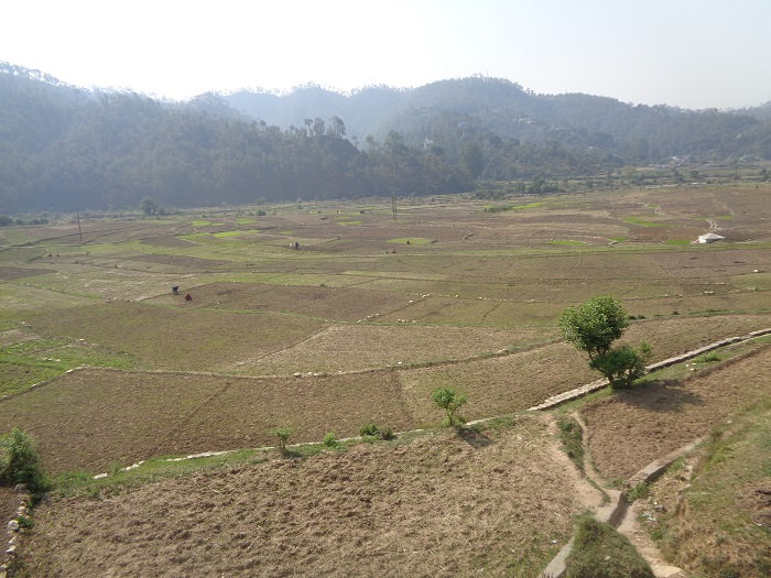 Organic farming in Uttarakhand