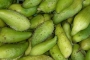 रामकरेला: स्वाद, पौष्टिकता और औषधीय गुणों से भरपूर पहाड़ी सब्जी