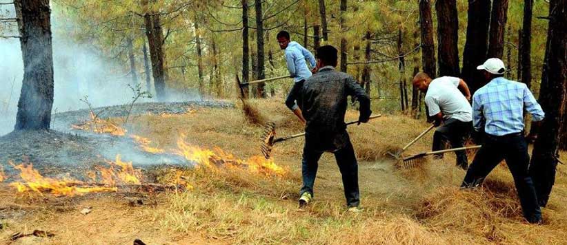 पहले ही तैयारी से उत्तराखंड के जंगलों को आग लगने से बचाया जा सकता है